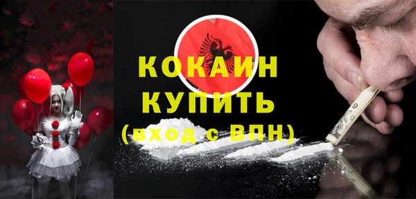 индика Медвежьегорск