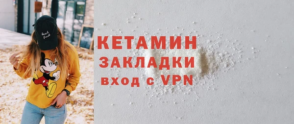 индика Медвежьегорск