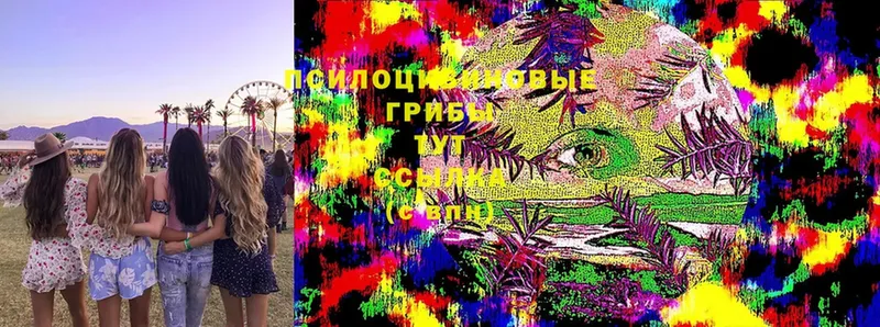 сколько стоит  Карачаевск  Галлюциногенные грибы MAGIC MUSHROOMS 