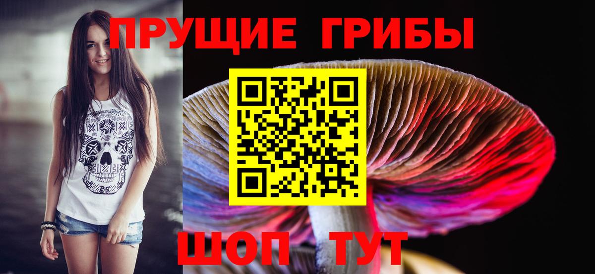 Псилоцибиновые грибы ЛСД  Вход с VPN  Псилоцибиновые грибы MAGIC MUSHROOMS  Карачаевск 