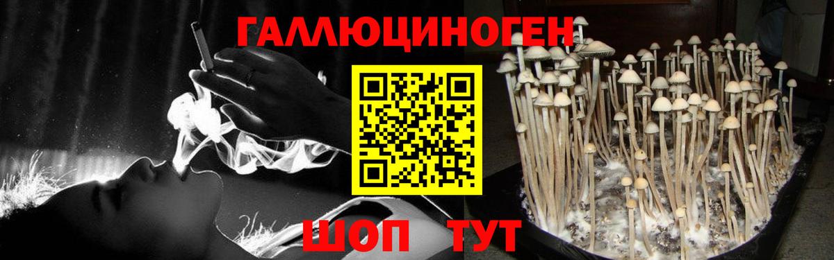 Галлюциногенные грибы мухоморы  Карачаевск 