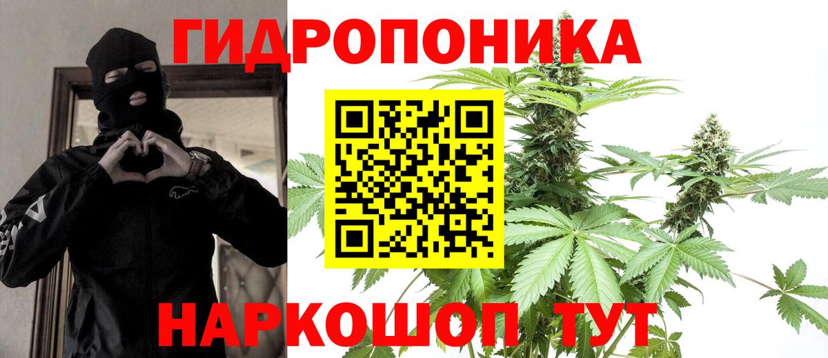 Канабис SATIVA & INDICA  Карачаевск  Бошки Шишки SATIVA & INDICA  МАРИХУАНА семена 